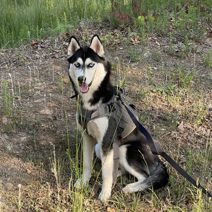 Fundraising Page: Renee Jacobson